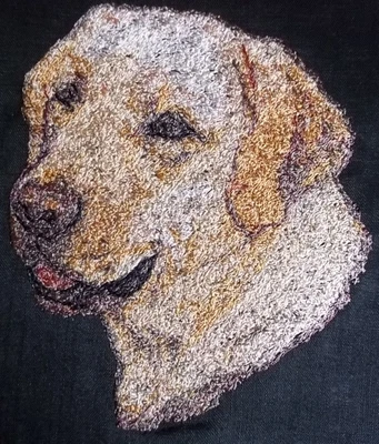 £7 • Buy Embroidered Quilt Block Panel  Golden Labrador Dog  Black Linen Fabric