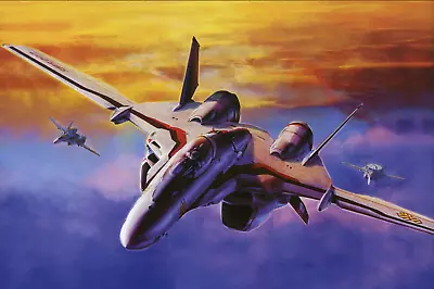 Macross Frontier VF-25 Skull Squad Poster 18inchesx12inches Free Shipping • $9.95