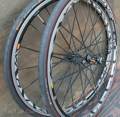 Mavic KSYRIUM SL 700c RoadBike WHEELS Hubs10/11/12Speed Campagnolo Bicycle Tires • $420