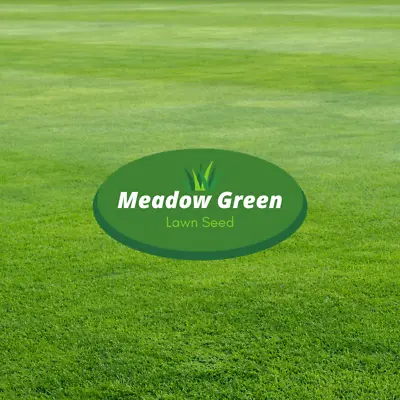 Meadow Green Grass Seed Hard Wearing Lawn Seeds Premium Tough Fast Growing Kg  • £1.82