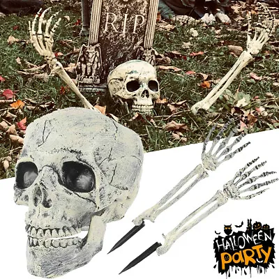 Halloween Skeleton DecorScary Skull & Arms Realistic Horror Skeleton Party Deco • £6.89