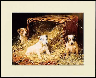 Wire Fox Jack Russell Terrier Puppies Lovely Dog Print Mounted Ready To Frame • £6.99