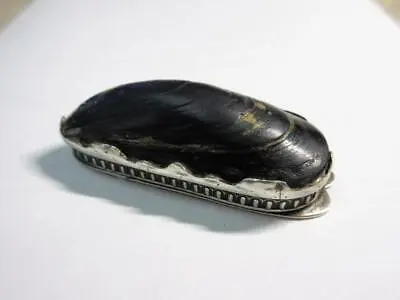 Antique 19thC VICTORIAN 'Mussel Shell' SNUFF BOX With Silver Plated Fittings • £120
