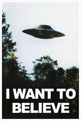 364878 The X-Files I Want To Believe UFO Vintage Series Art Print Poster • $13.95