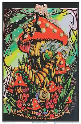 Mushroom/Caterpillar Blacklight Poster 23 X 35 • $14.49