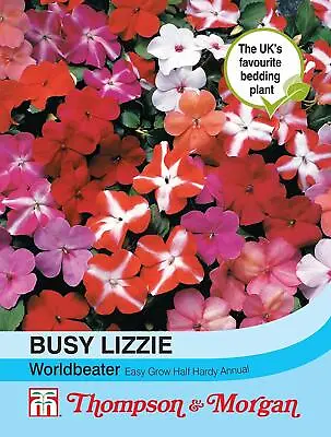 Busy Lizzie Plants Seeds Garden Flowers 'Worldbeater' 1 Packet 30 Seeds T&M • £2.99