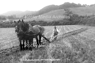 Oyh-64 Farming History Horse Ploughing Hambledon Hampshire. Photo • £3.35