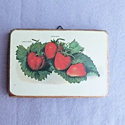 VTG Decoupage Strawberry Wooden Wall Hanging Plaque Cottagecore Farm Country • $10