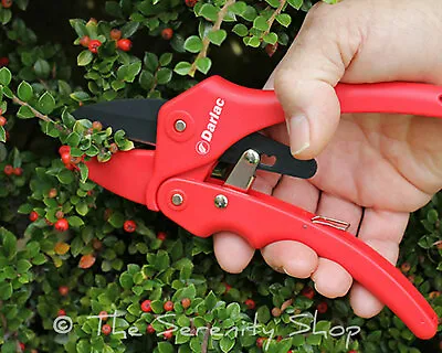 Darlac Garden Ratchet Pruners / Secateurs Dp174 • £9.89