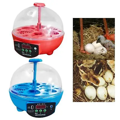 6 Eggs Incubator Automatic Hatching Eggs LED Display Egg Hatcher For Goose • £23.28