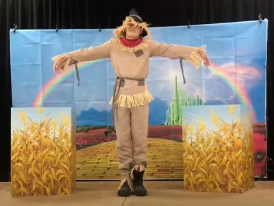 Wizard Of Oz Scarecrow Fancy Unique Costume - XL Children • $24.99