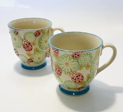 Set Of Two Coffee Tea Mugs Ceramic Flowers Ladybird Set Of 2 Serving Tableware • £16.99