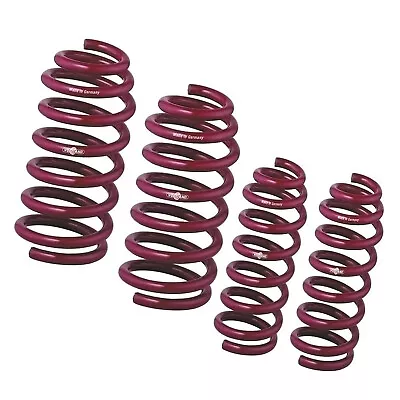 Vogtland Sport Lowering Springs 951024 For BMW 5er E34 • $289.30