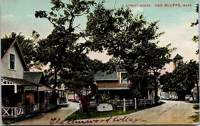 C1910 Postcard MARTHAS VINEYARD MASSACHUSETTS Street Scene Cottages OAK BLUFFS • $4