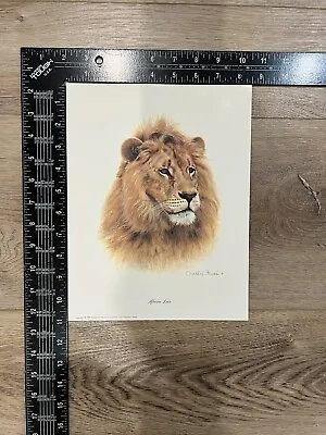 Charles Frace African Lion Print Matted 8 1/2  X 11  Signed • $15.99