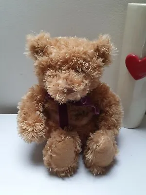 Warm And Cossy Teddy Bear Soft Plush Toy Cuddling Approx 14  • £8.90