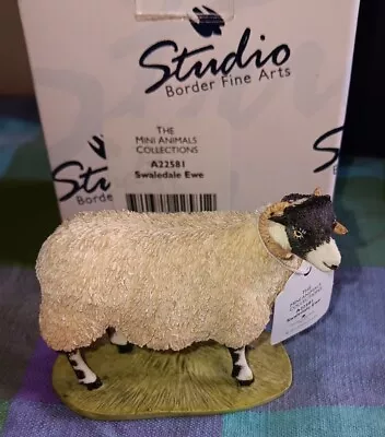 Border Fine Arts Enesco A22581 Swaledale Ewe Mini Animals Collection Boxed • £3