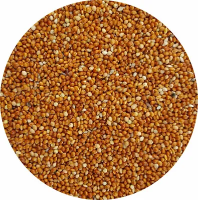 Red Millet Seed For Budgie Finch Canary Caged Birds 10kg 5kg 3kg 2kg 1kg 500g • £14.50