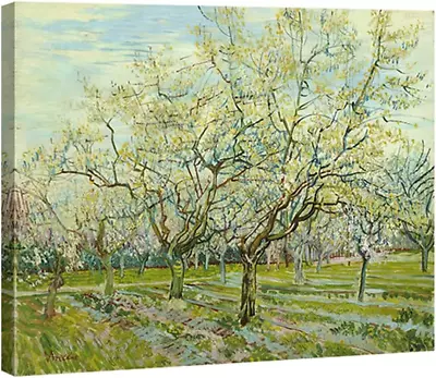 The White Orchard By Van Gogh Famous Oil Paintings Reproduction Canvas Prints Wa • $21.30