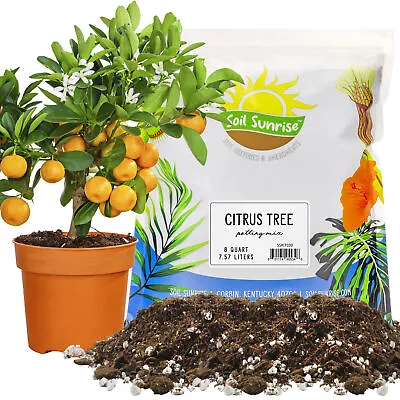 Citrus Tree Potting Soil Mix (8QT) For Indoor Oranges Lemons Limes And More • $23.99