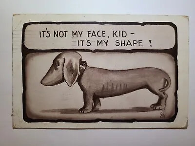 Vintage Postcard Dog Dachshund Its Not My Face Its My Shape 1910 Stamp • £6.80