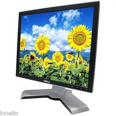 DELL 1908fpt 19  LCD SCREEN  NO DEAD PIXELS TILT PIVOT HEIGHT USB HUB • $110