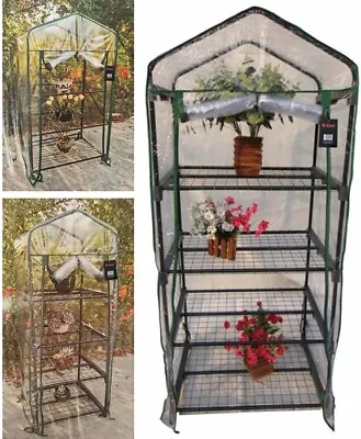 £21.89 • Buy 3 4 Tier Mini Small Greenhouse Outdoor Garden Plants Grow PVC Cover WITH SHELVES