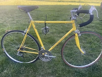 Vintage 1973 Yellow Schwinn Super Sport 10 Speed Bicycle 60cm 24” • $350