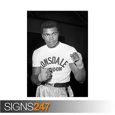 MUHAMMAD ALI POSTER BOXER CASSIUS MARCELLUS CLAY (2135) Celebrity Poster Poster • £1.49