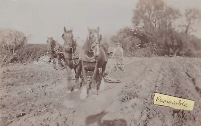 Old Photo Rural Work Horse Men Plough Farming Machinery Animal Fb 76 • £3.99