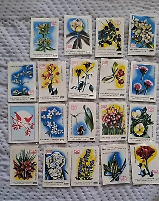 Russia FLORA Rare Flower  Set Of 18 Pieces FINE RUSSIAN MATCHBOX LABELS • $3.99