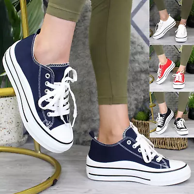 Ladies Canvas Trainers Platform Sneakers Plimsolls Lace Up Pumps Women Gym Shoes • £16.95