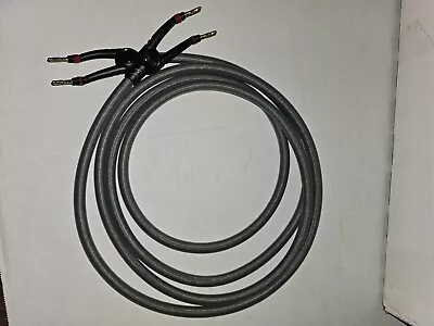 Monster Cable Thx Flex Tip Ultra 1000 Front Left/right Speaker Wire Cable Used • $64.99