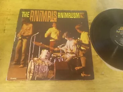 THE ANIMALS W/FRANK ZAPPA~ANIMALISM~RARE ORIGINAL 1966 MGM MONO LP~vg • $35