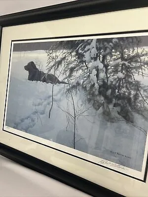 $399.99 • Buy Robert Bateman Labrador Dog In Snow Off The Leash Signed Numbered Framed Print