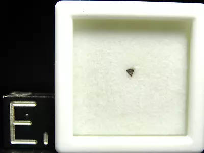 NWA 7983 Official Achondrite Ureilite Meteorite - G420-0002 - Micro - 100 CLUB • $9.95