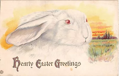 Large White Bunny Face Or Head On Old Stecher Easter Postcard • $3.99