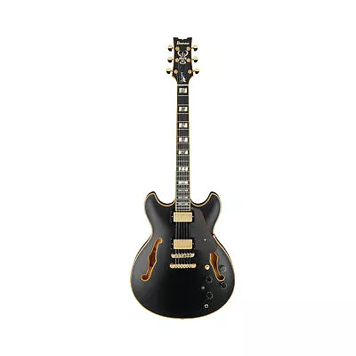 Ibanez John Scofield Signature 6 String Electric Guitar Black Low Gloss • $1099.99