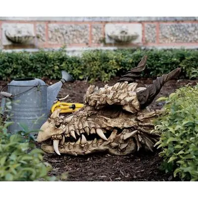 Large: Myths And Legends Medieval Dragon Skull Fanged Garden Or Table Top Trophy • $305.77