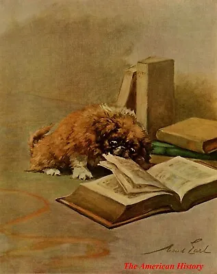 3450 Earl Maud (1864-1943) - Power Of The Dog 1910 - Pekinese Puppy • $40.21