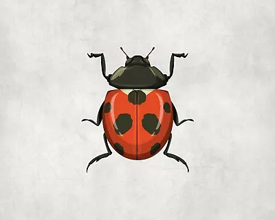 2 X Ladybird Ladybug Insect Animal Sticker IPad Laptop Decals Stickers  • £2.98