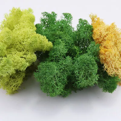 HO/O Scale Miniature Trees Grasses Bushes Forest Garden Plants Railway Scenery • $10.99