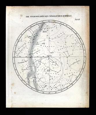 1872 Muller Map North Sky Star Chart Pole Polaris Big Dipper Cassiopea Andromeda • $20