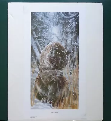 Vivi Crandall SNOW BLIND Lithograph Print Signed Excellent Condition • $350