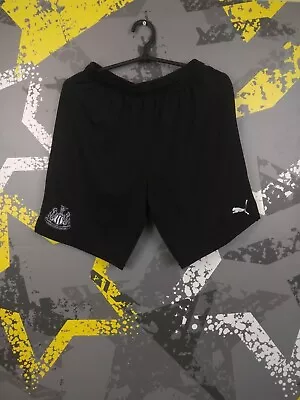 Newcastle United Shorts Size MEDIUM Soccer Football Puma Ig93 • $21.24