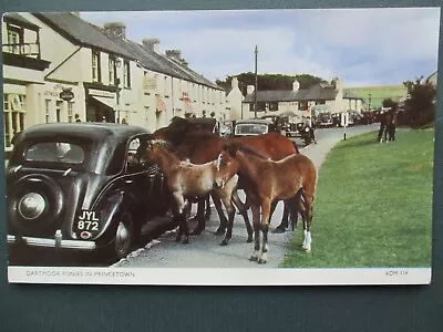 Dartmoor Princetown Ponies Beside A Ford Pilot Registration Jyl 872 • £2.99