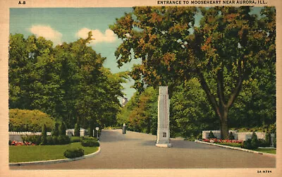 Postcard Entrance To Mooseheart Near Aurora IL Illinois • $4.80