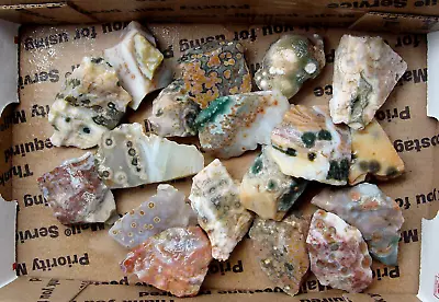 One Pound Ocean Jasper Rough From Madagascar Tumble Cabochons Or Specimen • $140