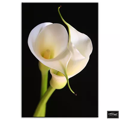 Calla Lily Flowers   Floral BOX FRAMED CANVAS ART Picture HDR 280gsm • £19.99