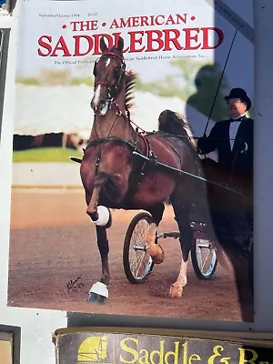 American Saddlebred Magazine - Vintage Show Horse And Hackney Ponies Sept 1994 • $8.95